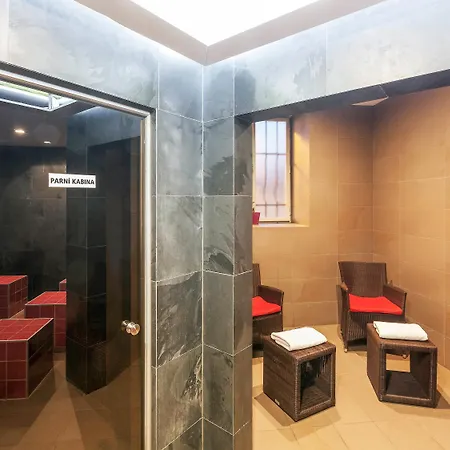 Hotel Mercure Center